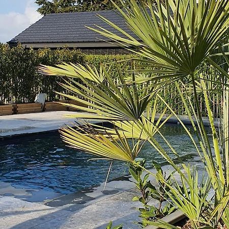 Pine Cottage- 5 Minutes Francorchamps - Charme -Piscine-Calme-Jardin Sart  Extérieur photo