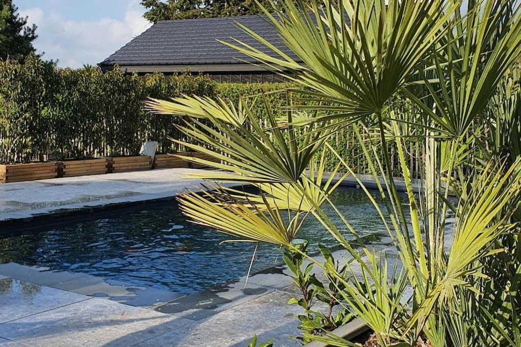 Pine Cottage- 5 Minutes Francorchamps - Charme -Piscine-Calme-Jardin Sart  Extérieur photo