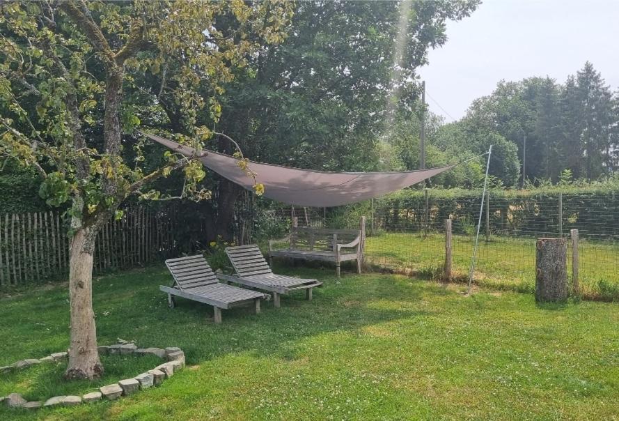 Pine Cottage- 5 Minutes Francorchamps - Charme -Piscine-Calme-Jardin Sart  Extérieur photo